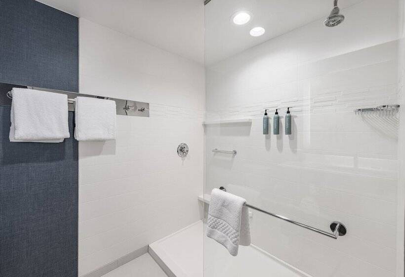 Люкс, Residence Inn Franklin Berry Farms