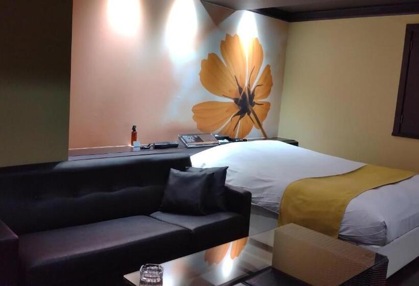 اتاق استاندارد, Ageha   Adult Only
