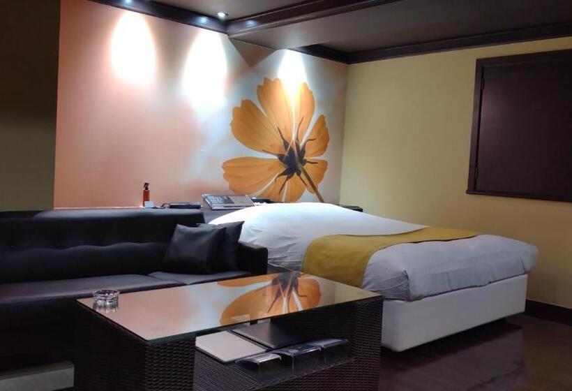 اتاق استاندارد, Ageha   Adult Only