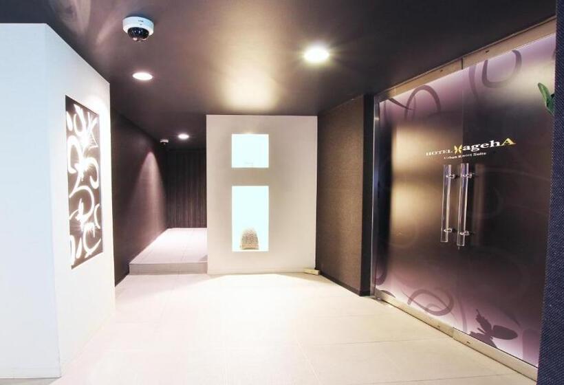 اتاق اکونومی, Ageha   Adult Only
