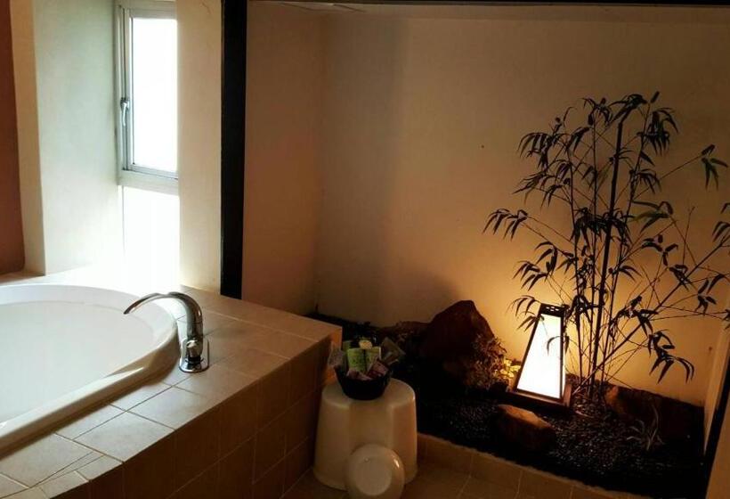 اتاق استاندارد, Ageha   Adult Only