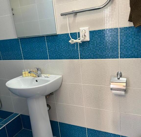اتاق استاندارد, дельфин