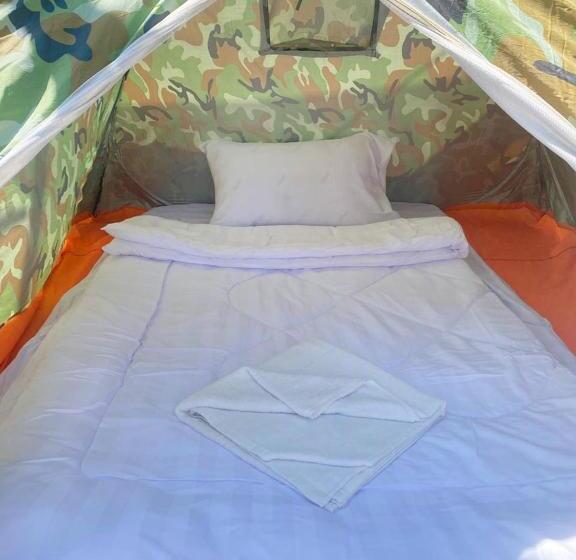 چادر با خدمات رفاهی پایه, Plankton Bungalow And Camping
