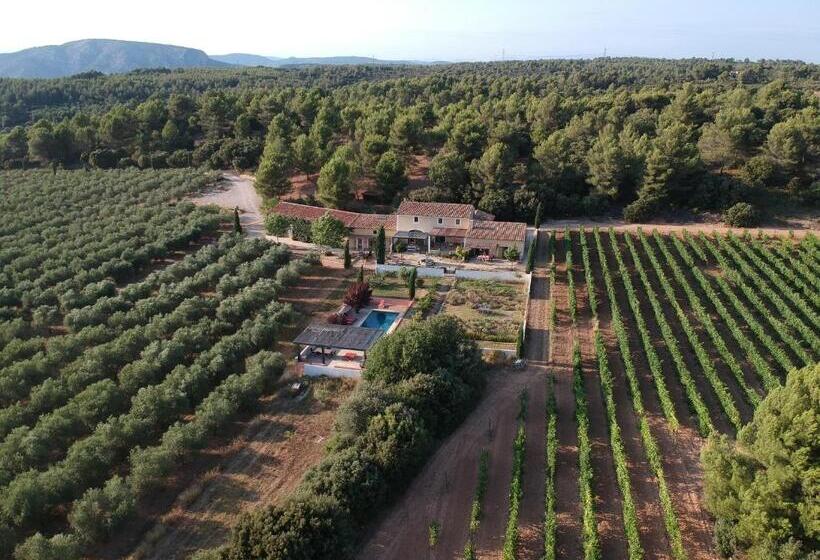 Семейный Номер, Domaine De Villemus