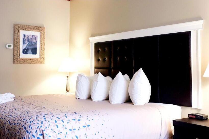 Люкс Кровать Кинг, Causeway Bay Hotel Sparwood