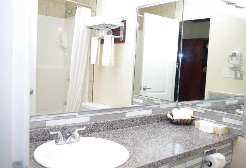 Стандартный Номер Кровать Кинг, Causeway Bay Hotel Sparwood