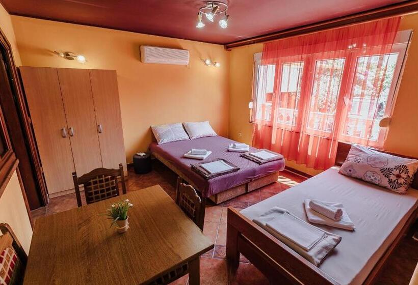 آپارتمان 1 خوابه همکف, Guest House Villa živanović