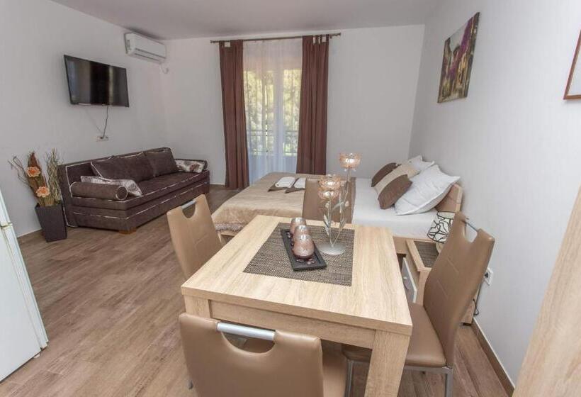 استودیو استاندارد با تخت کینگ, Apartments Gvozdenovic