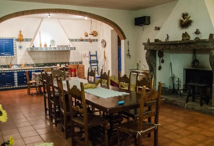 Номер Стандарт, B&b Apricot