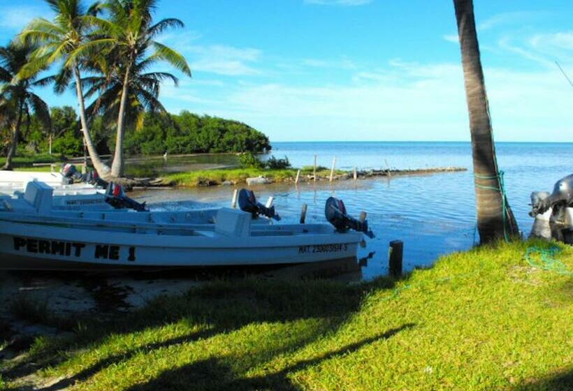 Bangalô Standard, Costa De Cocos