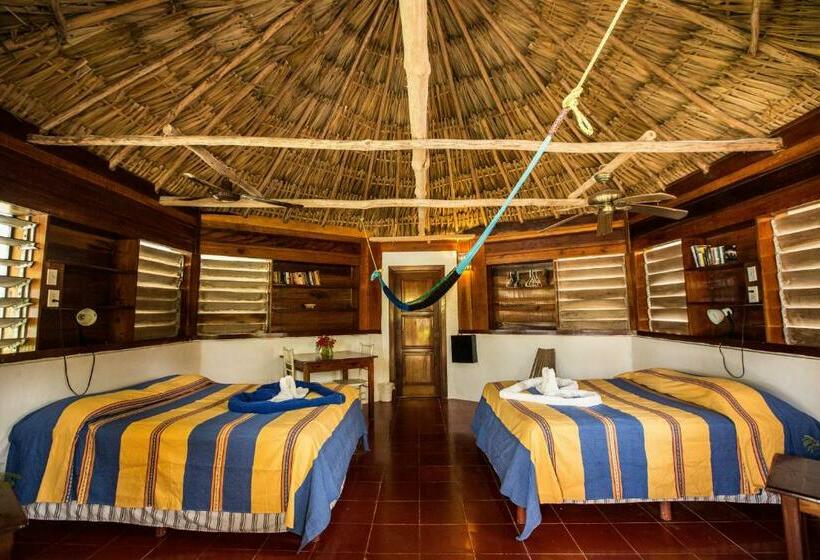 Bangalô Standard, Costa De Cocos