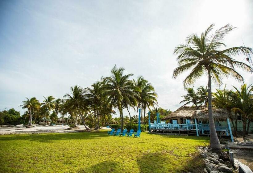 スタンダードバンガロー, Costa De Cocos