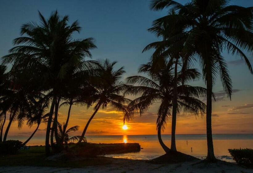 スタンダードバンガロー, Costa De Cocos