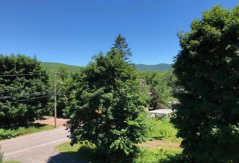 Номер Стандарт, Antique Rose Inn Windham