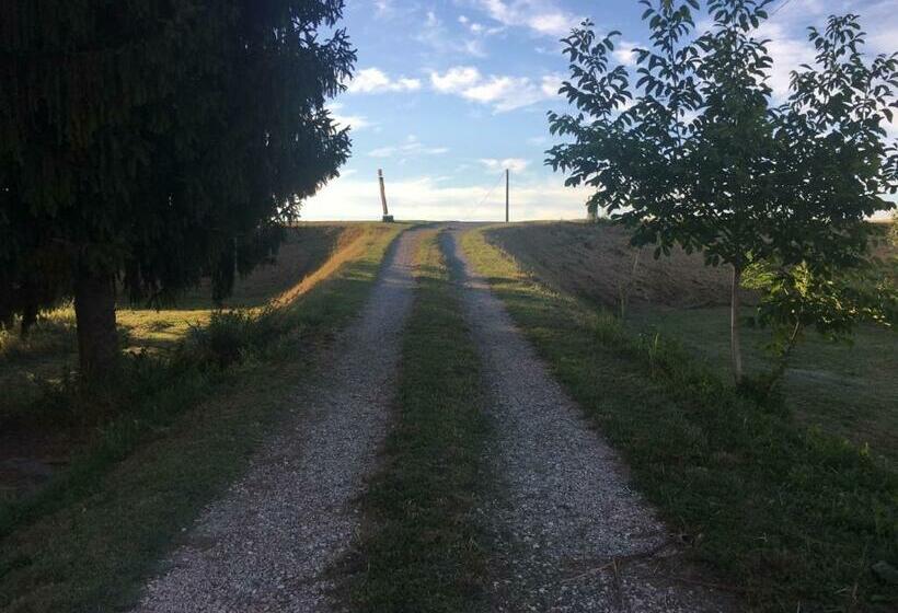 Номер Стандарт, B&b De Carol