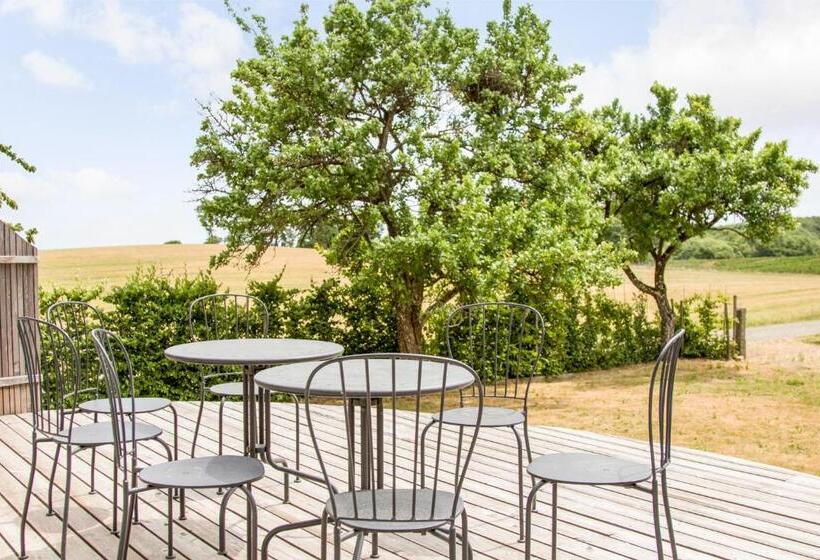 اتاق استاندارد, Cocoon Meetings