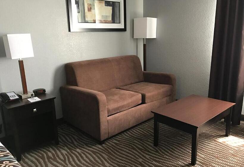 Стандартный Номер Кровать Кинг, Best Western Executive Inn  Mount Gilead
