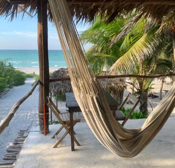 سوییت سوپریور با چشم‌انداز دریا, Casa Mate Beachfront Cabañas El Cuyo