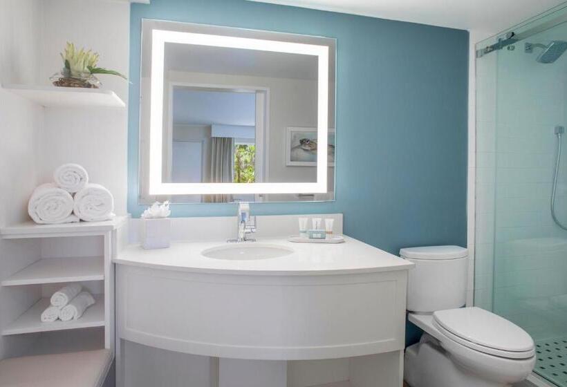 Номер Стандарт, Sanibel Island Beach Resort