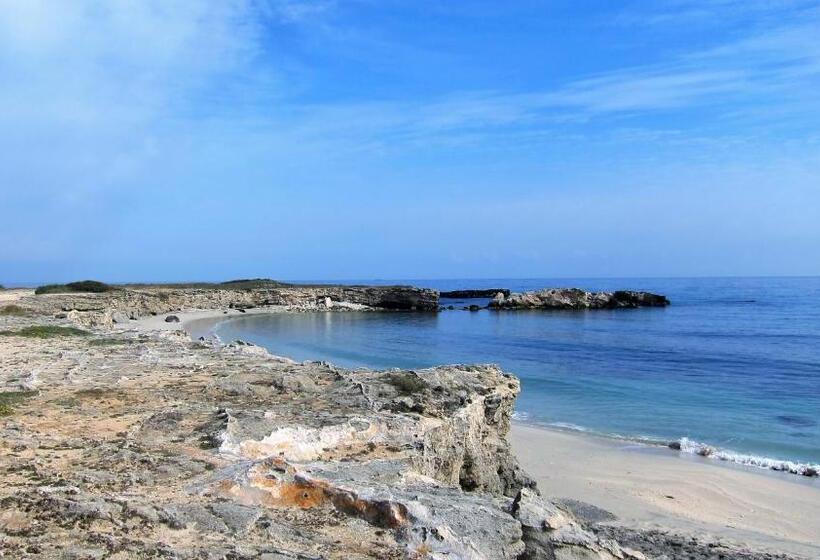 Четырехместный Номер Стандарт Вид на Сад, B&b Neptunia Fronte Mare