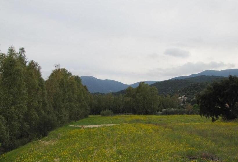 Апартаменты 1 Спальня, B&b Monte Gruttas