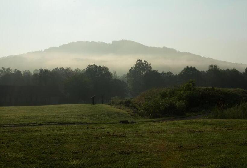 스탠다드 룸, Fort Davidson