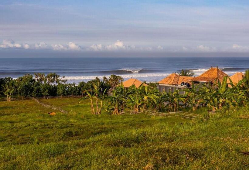 Номер Стандарт Вид на Бассейн, Medewi Secret Surfcamp