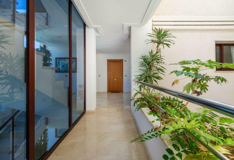 Апартаменты 1 Спальня, Apartamentos Albir Confort   Avenida 1 Dorm