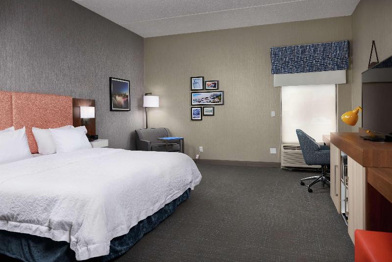 스탠다드 룸 킹사이즈 침대, Hampton Inn Niagara Falls