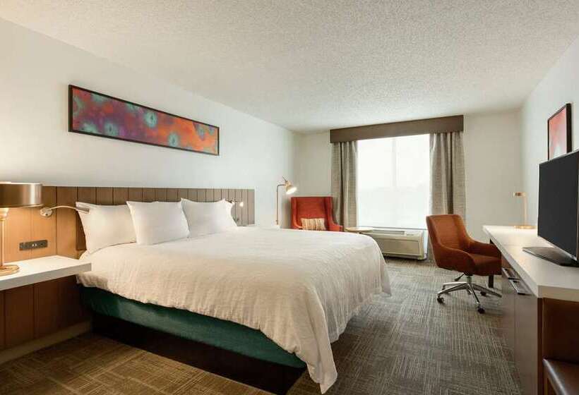 اتاق استاندارد, Hilton Prague