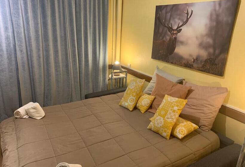 适合残疾人士使用的带超级大床的标准间, Hôtel Du Cheval Blanc Barcelonnette