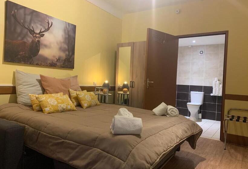 适合残疾人士使用的带超级大床的标准间, Hôtel Du Cheval Blanc Barcelonnette