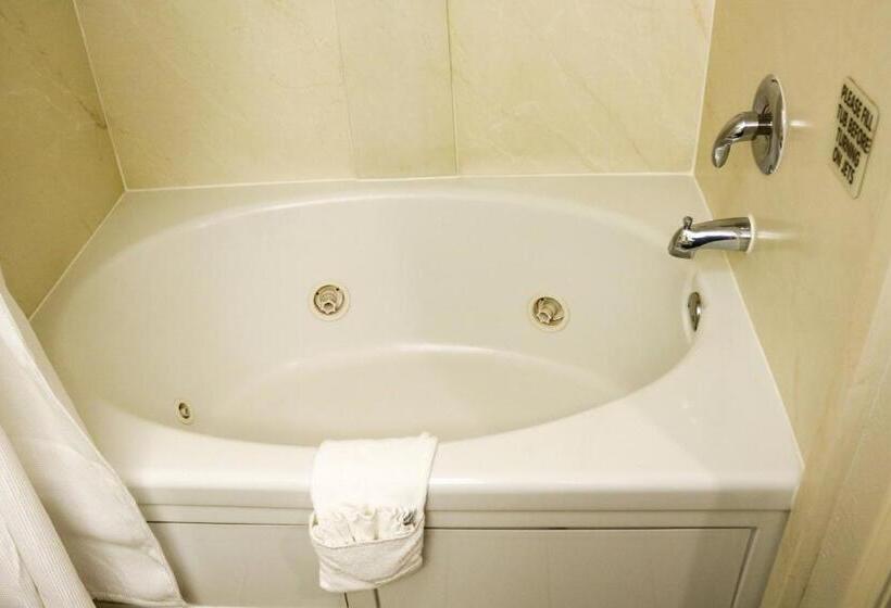带大床的标准间, Fairfield Inn & Suites Oakland Hayward
