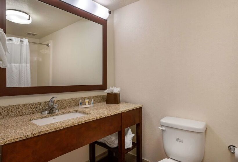 스위트, Comfort Suites Downtown