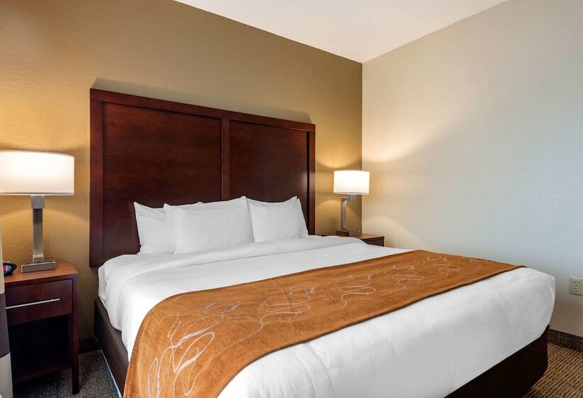 Suíte, Comfort Suites Downtown