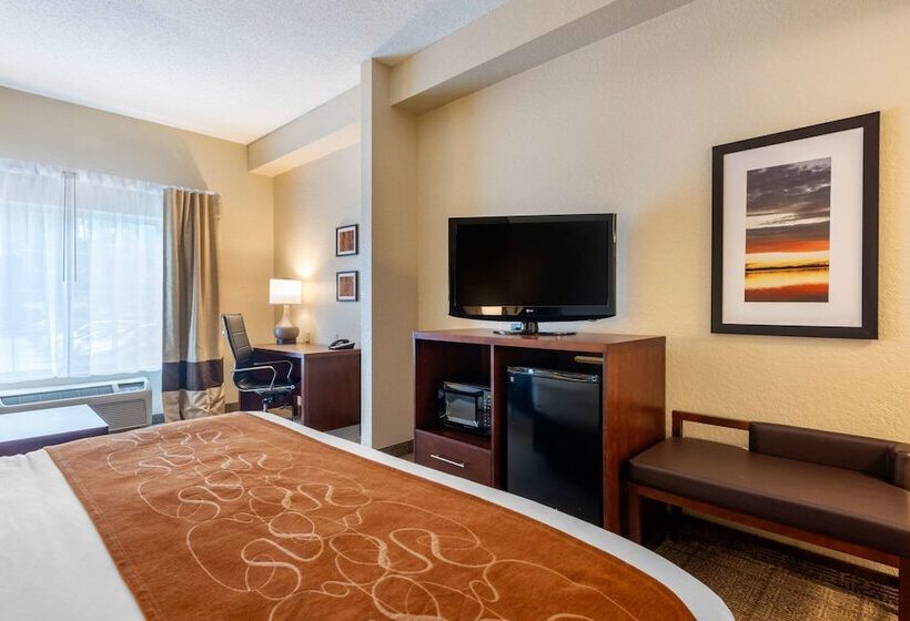 스위트, Comfort Suites Downtown