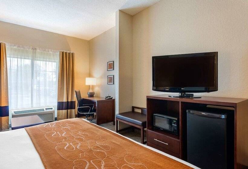 Suíte, Comfort Suites Downtown