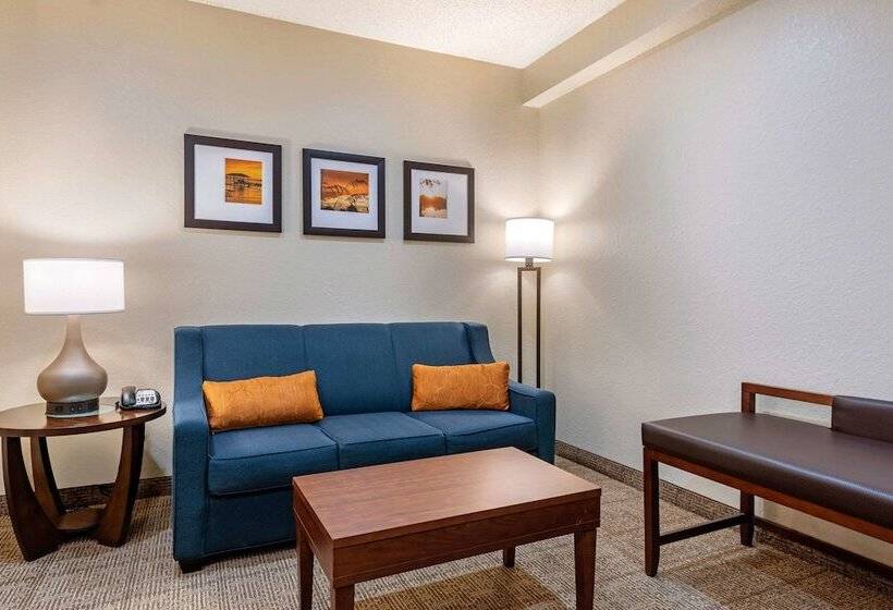스위트, Comfort Suites Downtown