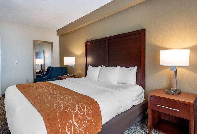 Suíte, Comfort Suites Downtown