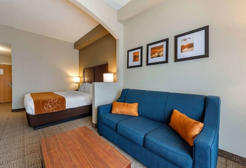 스위트, Comfort Suites Downtown