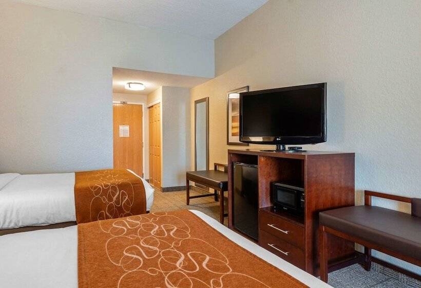 Suíte, Comfort Suites Downtown
