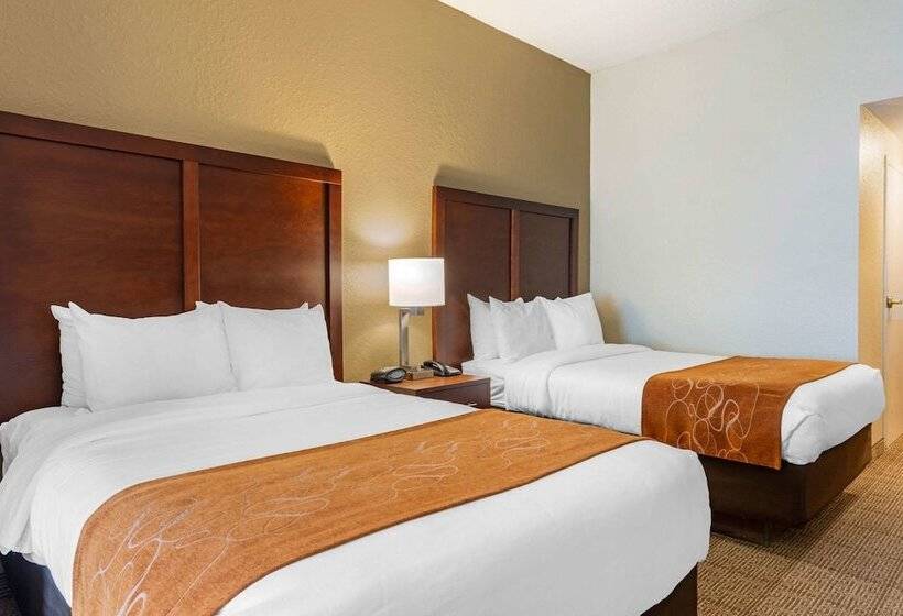 Suíte, Comfort Suites Downtown