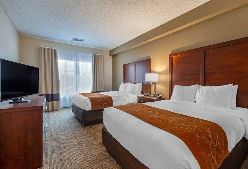 스위트, Comfort Suites Downtown
