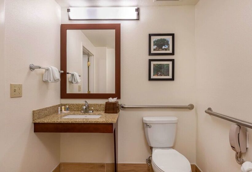 Suíte, Comfort Suites Downtown