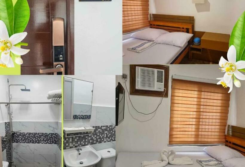 豪华房间, Bth Traveller S Home