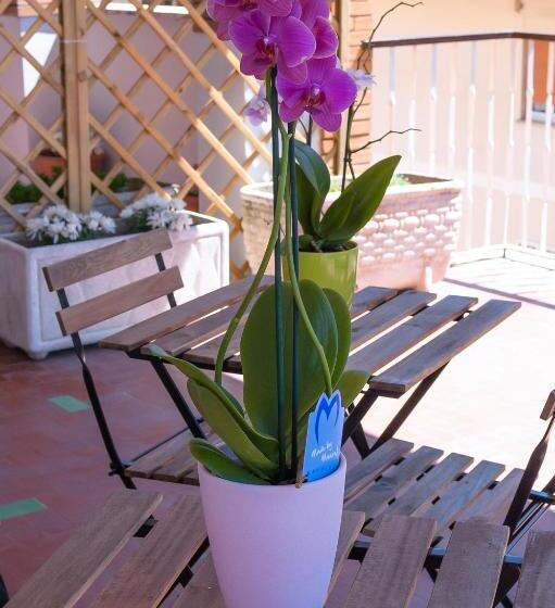 اتاق سوپریور, Sweet Rome B&b