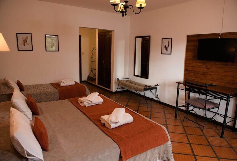 اتاق سوپریور با چشمانداز کوهستان, Selva Montana