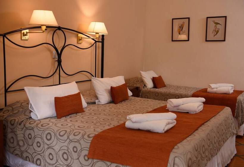 اتاق سوپریور با چشمانداز کوهستان, Selva Montana