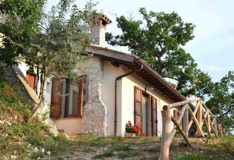 Студио Стандарт с Террасой, Agriturismo Istrice Innamorato