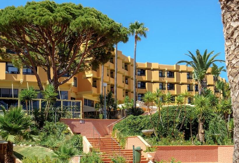 Номер Стандарт, Auramar Beach Resort